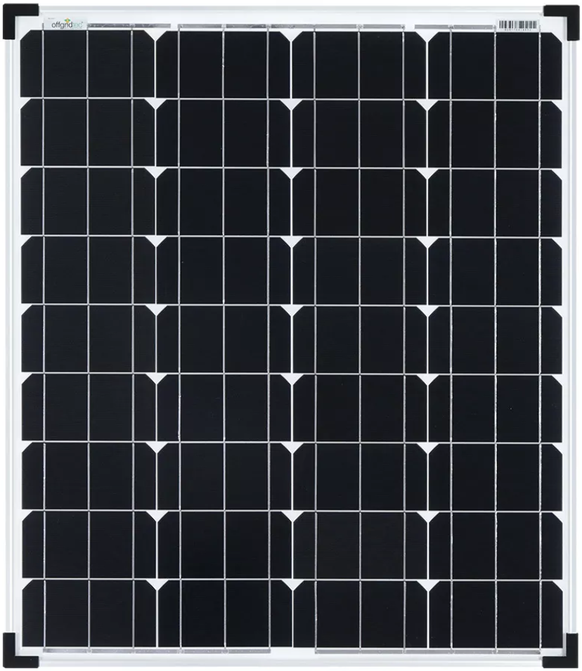 正常对照 · 样本 B