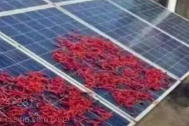 光伏板阵列 - 样本 2